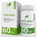 Gotu Kola