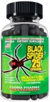 Black Spider