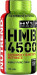 HMB 4500