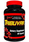 Tribuvar