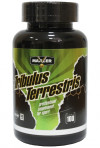 Tribulus Terrestris