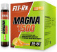 MAGNA 1500
